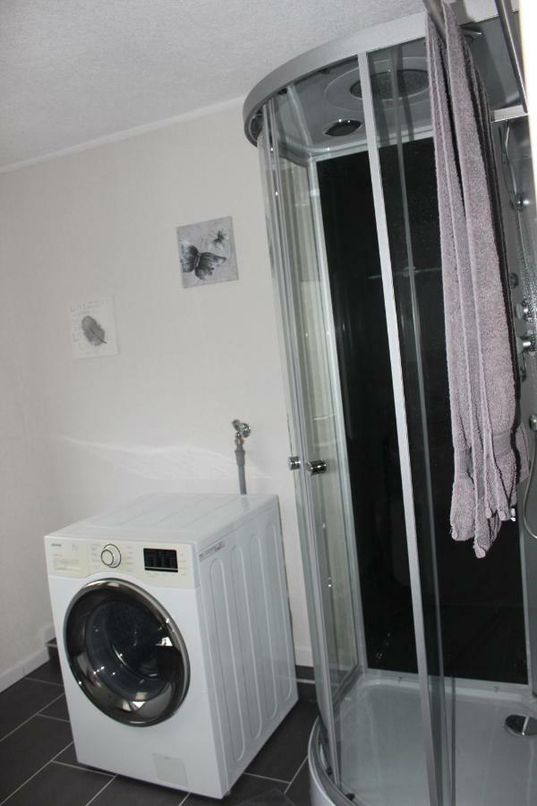 Gut gelegenes Appartment mit Wifi, Parkplatz, Wama, Trockner usw. Kaiserslautern Exterior foto
